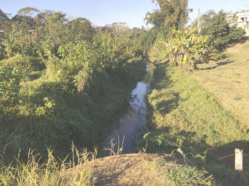 Imagem ilustrativa de Empresas de consultoria ambiental