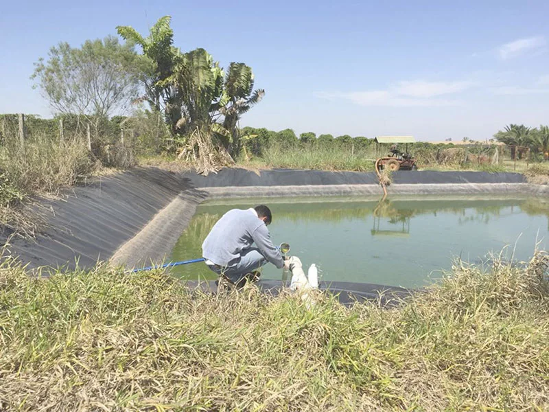Imagem ilustrativa de Empresas de tratamento de efluentes