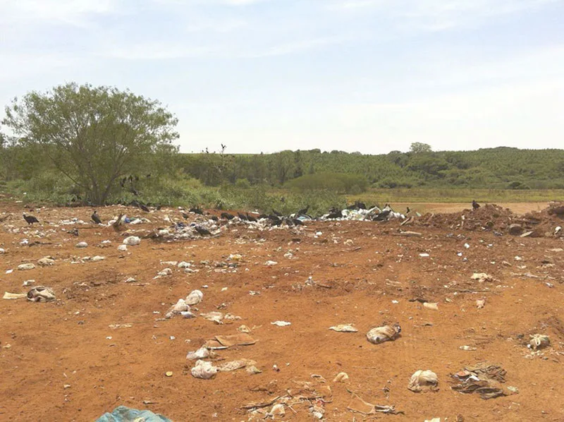 Imagem ilustrativa de Investigação de solo contaminado